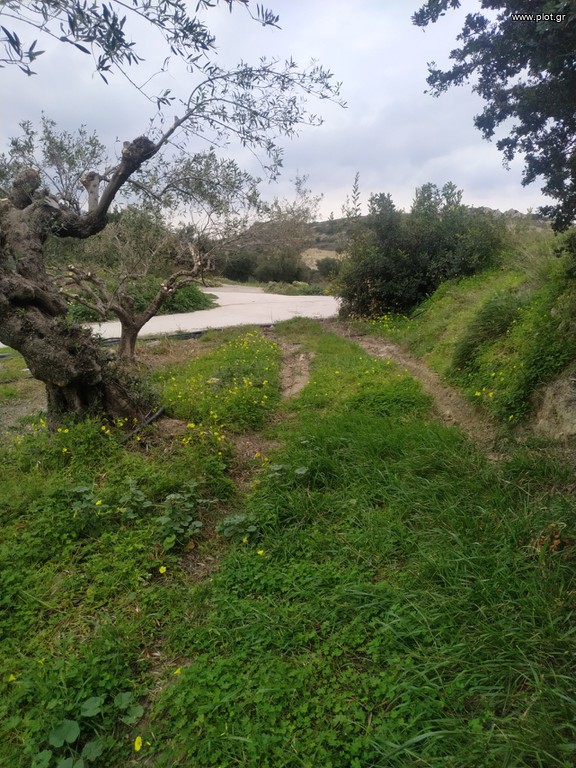Αγροτεμάχια 8.000 τ.μ. πρός πώληση, Ν. Λασιθίου, Ιεράπετρα