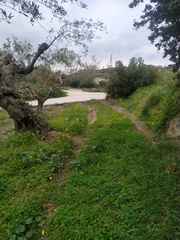 Αγροτεμάχια 8.000 τ.μ. για πώληση, Ν. Λασιθίου, Ιεράπετρα-thumb-4
