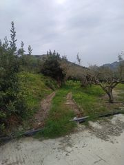 Αγροτεμάχια 8.000 τ.μ. για πώληση, Ν. Λασιθίου, Ιεράπετρα-thumb-6