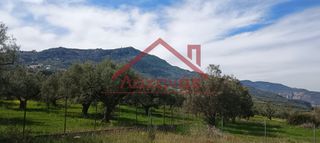 Οικόπεδο 620 τ.μ. προς πώληση, Άμπελος Ακράτας-thumb-18