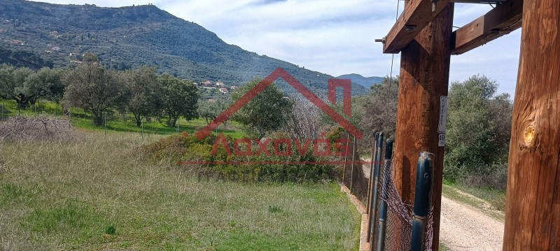 Οικόπεδο 620 τ.μ. πρός πώληση, Αχαΐα, Ακράτα