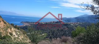Οικόπεδο 620 τ.μ. προς πώληση, Άμπελος Ακράτας-thumb-21