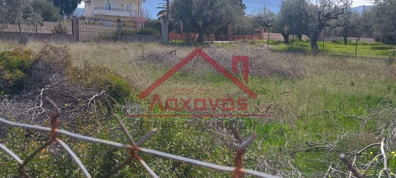 Οικόπεδο 620 τ.μ. πρός πώληση, Αχαΐα, Ακράτα
