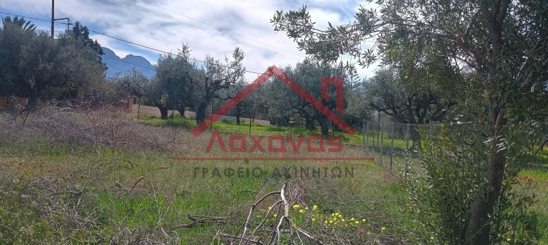 Οικόπεδο 620 τ.μ. πρός πώληση, Αχαΐα, Ακράτα