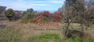 Οικόπεδο 620 τ.μ. προς πώληση, Άμπελος Ακράτας-thumb-9