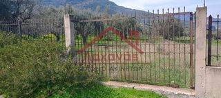 Οικόπεδο 620 τ.μ. προς πώληση, Άμπελος Ακράτας-thumb-6
