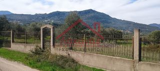 Οικόπεδο 620 τ.μ. προς πώληση, Άμπελος Ακράτας-thumb-4