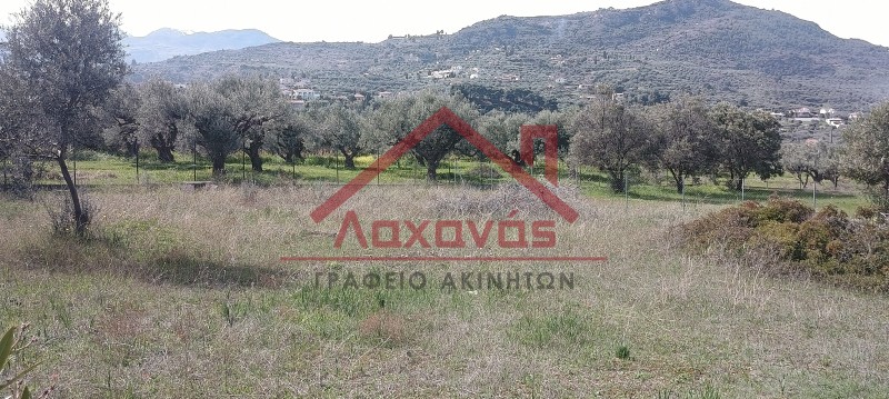 Οικόπεδο 620 τ.μ. πρός πώληση, Αχαΐα, Ακράτα