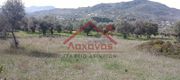 Οικόπεδο 620τ.μ. για πώληση-Ακράτα » Άμπελος
