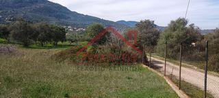 Οικόπεδο 620 τ.μ. προς πώληση, Άμπελος Ακράτας-thumb-16
