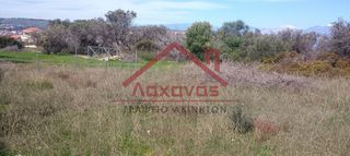 Οικόπεδο 620 τ.μ. προς πώληση, Άμπελος Ακράτας-thumb-11
