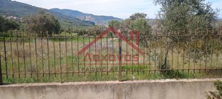 Οικόπεδο 620 τ.μ. προς πώληση, Άμπελος Ακράτας-thumb-8