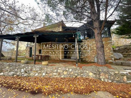 Επιχειρηματικό κτίριο 130τ.μ. για ενοικίαση-Χίος » Αμάνη