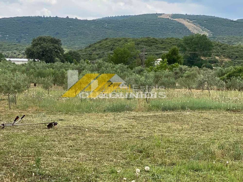 Αγροτεμάχια 5.000 τ.μ. πρός πώληση, Εβρος, Αλεξανδρούπολη
