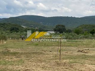 Αγροτεμάχια 5.000 τ.μ. πρός πώληση, Εβρος, Αλεξανδρούπολη-thumb-1
