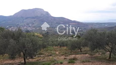 Parcel 12.370 sqm for sale