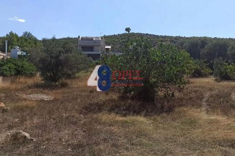Οικόπεδο 1.510 τ.μ. για πώληση