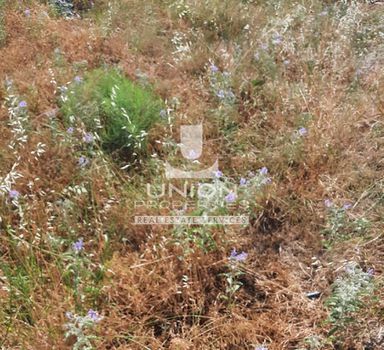 Οικόπεδο 170 τ.μ. για πώληση