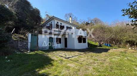Detached home 120sqm for sale-Mouresi » Tsagkarada
