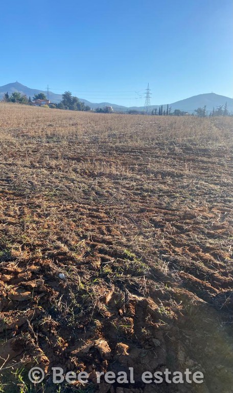 Αγροτεμάχια 8.300 τ.μ. πρός πώληση, Θεσσαλονίκη - Περιφ/Κοί Δήμοι, Πανόραμα