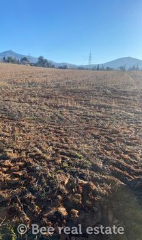 Αγροτεμάχια 8.300 τ.μ. προς πώληση