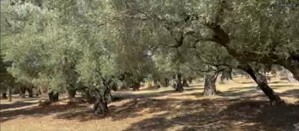 Οικόπεδο 26.336 τ.μ. πρός πώληση, Εβρος, Αλεξανδρούπολη