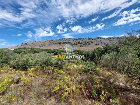 Parcel 7.844sqm for sale-Rethimno » Armenoi