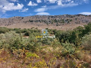 Αγροτεμάχια 7.844 τ.μ. για πώληση, Ν. Ρεθύμνου, Ρέθυμνο-thumb-4