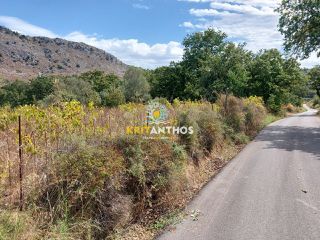 Αγροτεμάχια 7.844 τ.μ. για πώληση, Ν. Ρεθύμνου, Ρέθυμνο-thumb-10