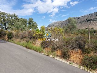Αγροτεμάχια 7.844 τ.μ. για πώληση, Ν. Ρεθύμνου, Ρέθυμνο-thumb-11