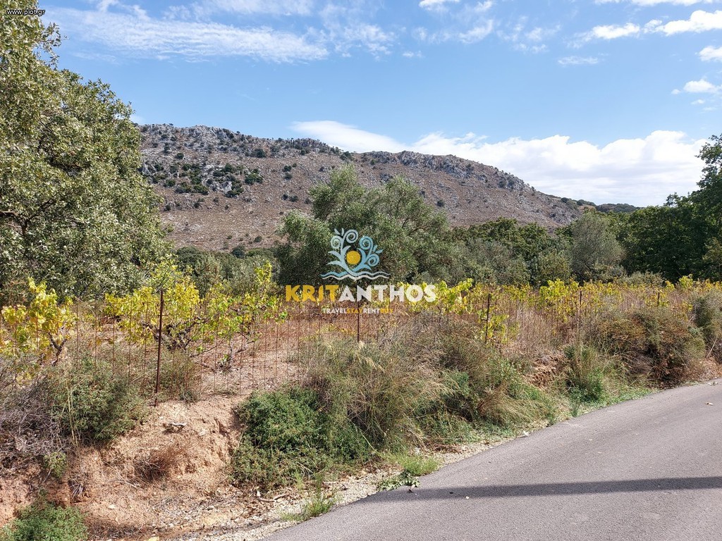 Αγροτεμάχια 3.880 τ.μ. προς πώληση, Αρμενοί Ρεθύμνου