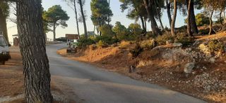 Οικόπεδο 6.100 τ.μ. για πώληση, Ν. Λευκάδας, Λευκάδα-thumb-2
