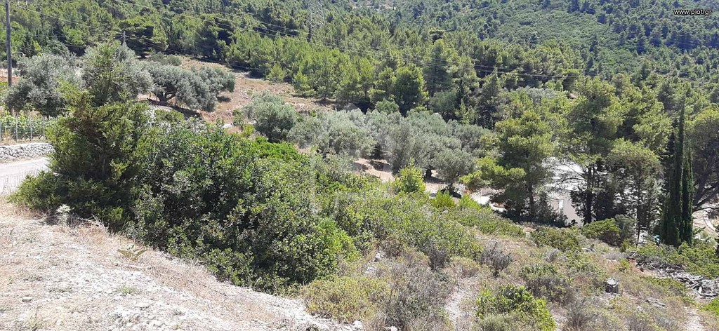 Οικόπεδο 6.100 τ.μ. προς πώληση, Απολλώνιο