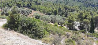 Οικόπεδο 6.100 τ.μ. για πώληση, Ν. Λευκάδας, Λευκάδα-thumb-3