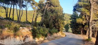 Οικόπεδο 6.100 τ.μ. για πώληση, Ν. Λευκάδας, Λευκάδα-thumb-4