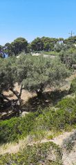 Οικόπεδο 6.100 τ.μ. για πώληση, Ν. Λευκάδας, Λευκάδα-thumb-7