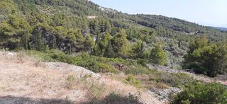 Οικόπεδο 6.100 τ.μ. για πώληση, Ν. Λευκάδας, Λευκάδα-thumb-10