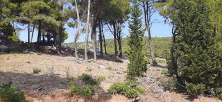 Οικόπεδο 6.100 τ.μ. για πώληση, Ν. Λευκάδας, Λευκάδα-thumb-16