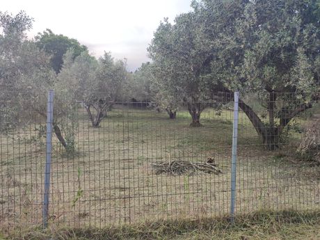 Οικόπεδο 660 τ.μ. για πώληση