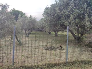 Οικόπεδο 660 τ.μ. για πώληση