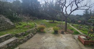 Μονοκατοικία 89 τ.μ. για πώληση, Μεσσηνία, Αρφαρά-thumb-12