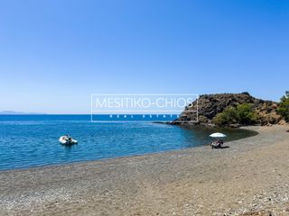 Οικόπεδο 100 τ.μ. προς πώληση, Αμάνη-thumb-16