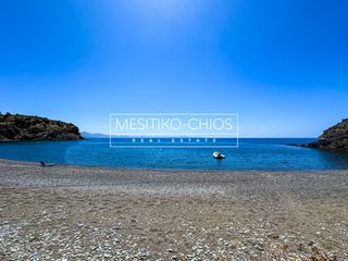 Οικόπεδο 100 τ.μ. προς πώληση, Αμάνη-thumb-21