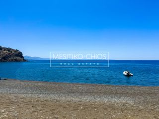 Οικόπεδο 100 τ.μ. προς πώληση, Αμάνη-thumb-19