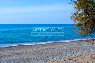 Οικόπεδο 100 τ.μ. προς πώληση, Αμάνη-thumb-23