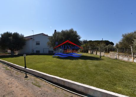 Μονοκατοικία 100τ.μ. για πώληση-Αλεξανδρούπολη » Δίκελλα