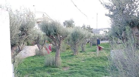 Οικόπεδο 550 τ.μ. για πώληση