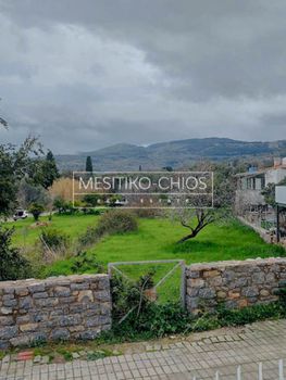 Οικόπεδο 1.001τ.μ. για πώληση-Χίος » Μαστιχοχώρια