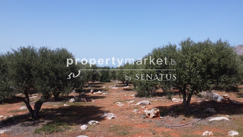 Οικόπεδο 5.365 τ.μ. προς πώληση, Χωραφάκια