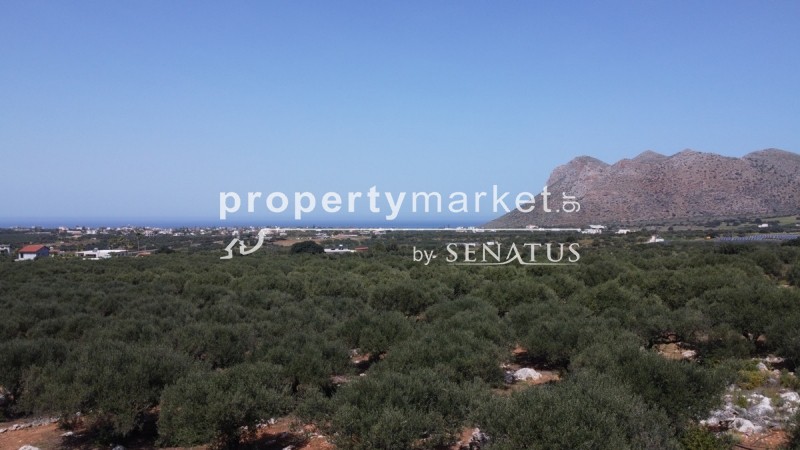 Οικόπεδο 5.365 τ.μ. προς πώληση, Χωραφάκια
